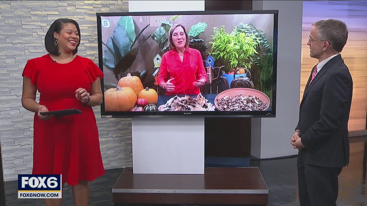 Managing fall leaves